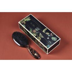 Hair Brush Turtle - Medium