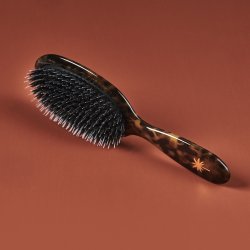 Hair Brush Turtle - Medium