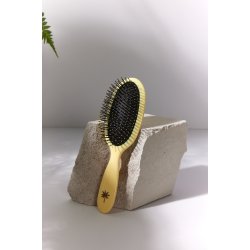 Wet Brush Sunshine - Medium