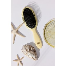 Wet Brush Sunshine - Medium