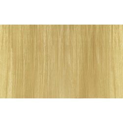 GLOSS 10NG - 10.03 PLATINUM.NATURAL.GOLD