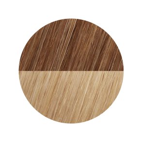 Cool Soft Beige Ombre 8B-11VA