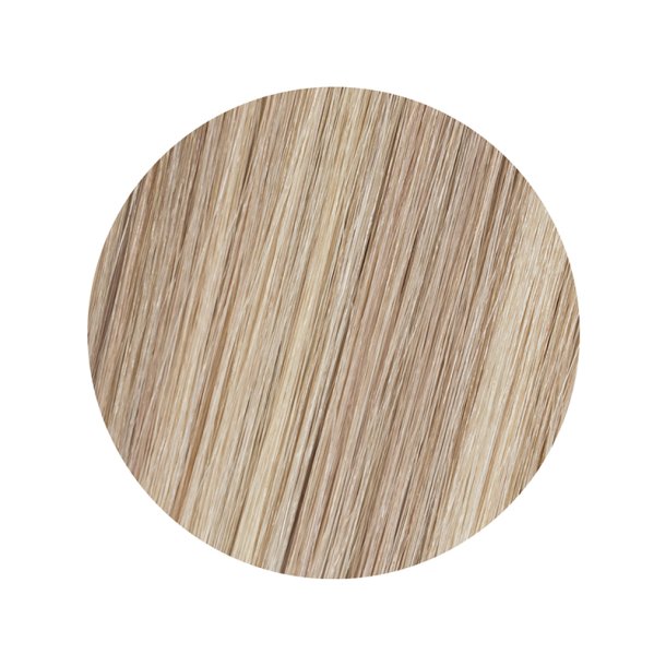 Honey Ginger Highlight 7GV-9N