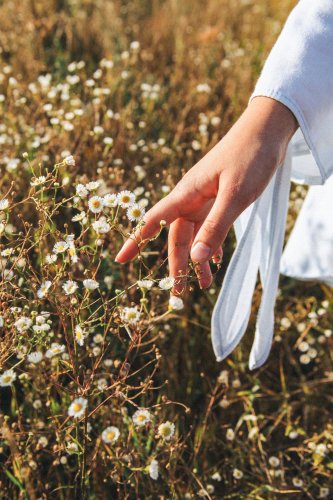 Veganske ingredienser