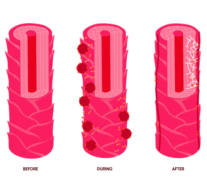 How the Goddess Molecule&trade; Works